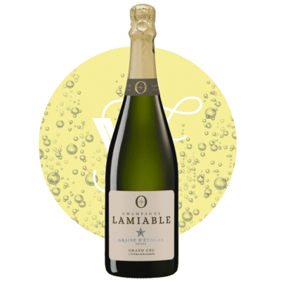 Terre d'étoiles Brut , Vin Blanc de Champagne