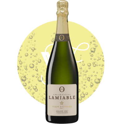 Terre d'étoiles Brut , Vin Blanc de Champagne